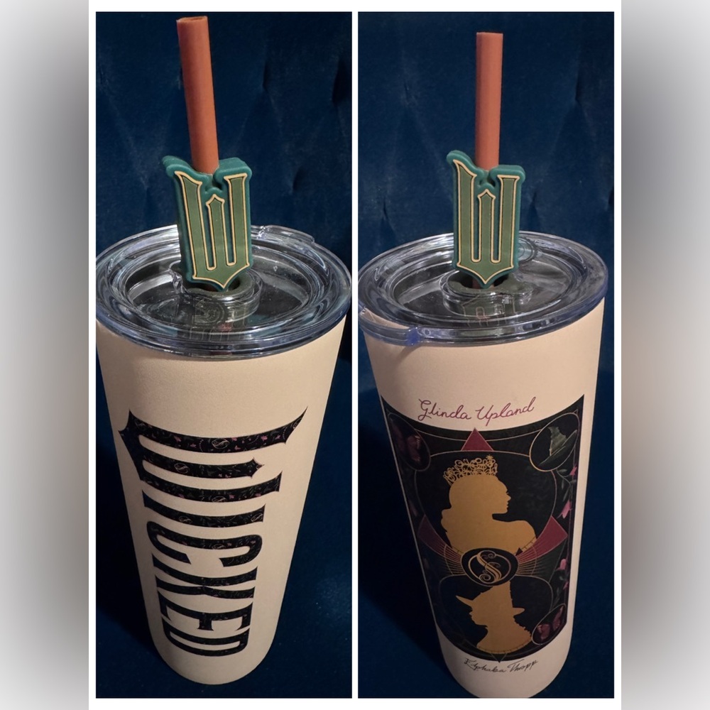 Dragon Glassware x WICKED Insulated Tumbler 2 sided w Lid & Straw 24 oz NWT